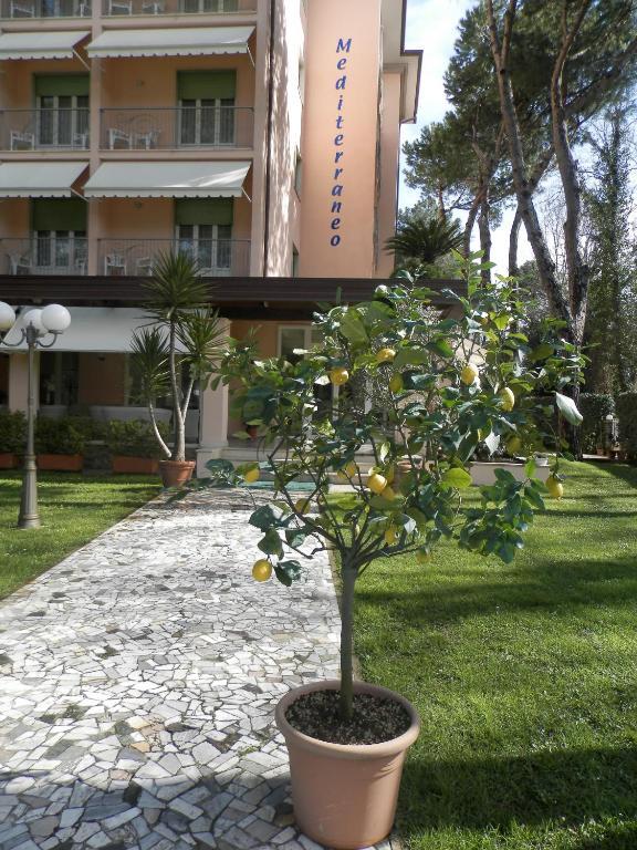 Hotel Mediterraneo Marina di Pietrasanta Exterior photo