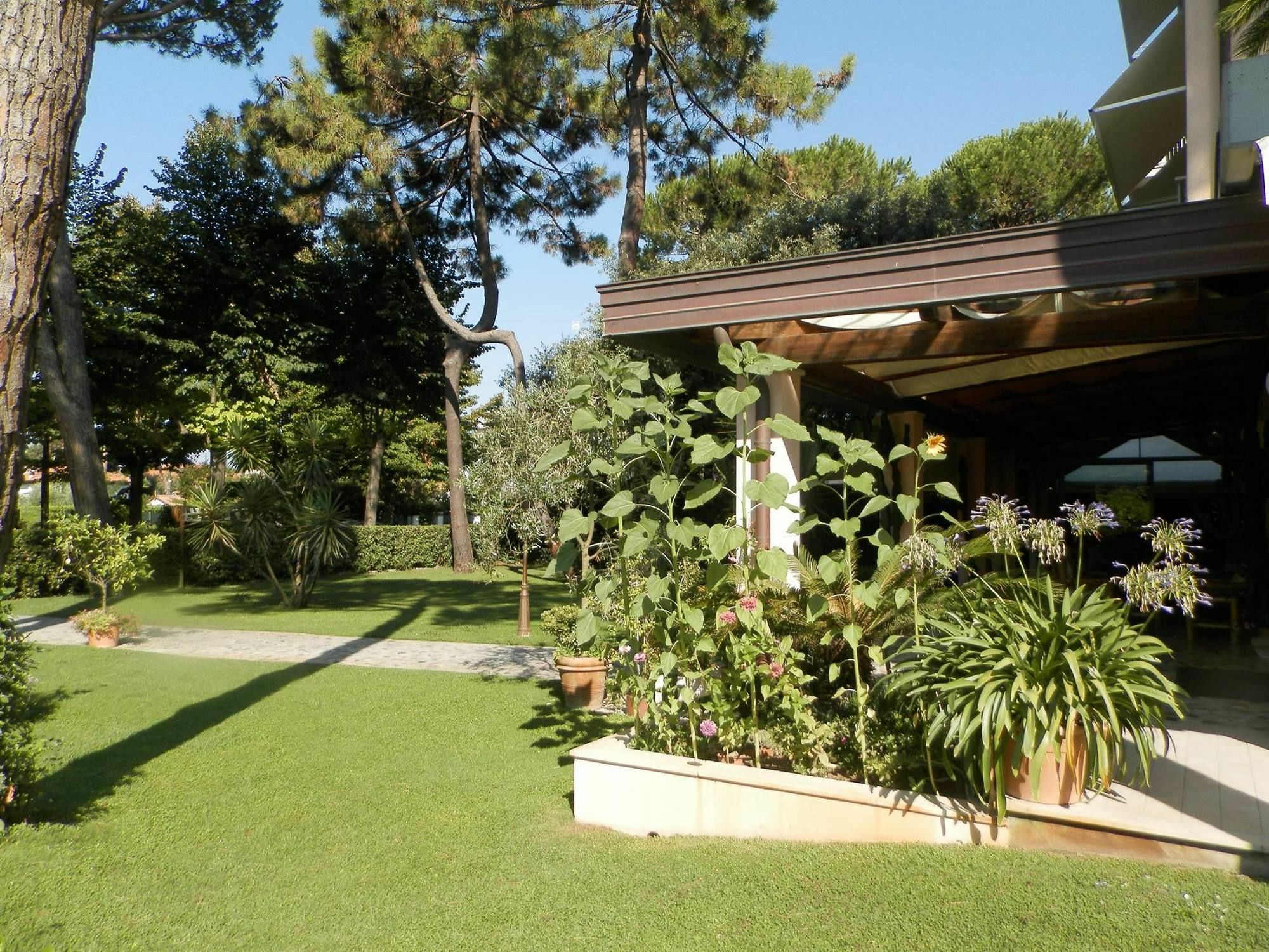 Hotel Mediterraneo Marina di Pietrasanta Exterior photo